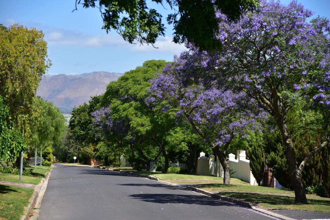 Yebo Boutique Guesthouse Somerset West Bagian luar foto